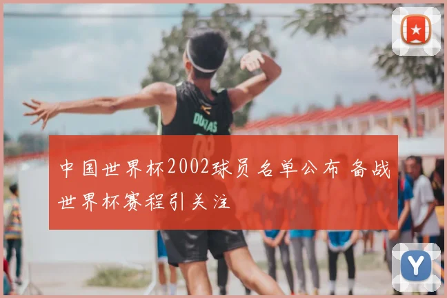中国世界杯2002球员名单公布 备战世界杯赛程引关注