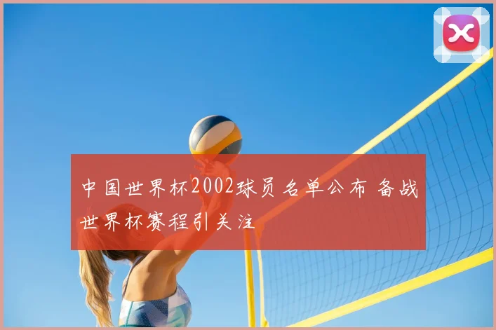 中国世界杯2002球员名单公布 备战世界杯赛程引关注